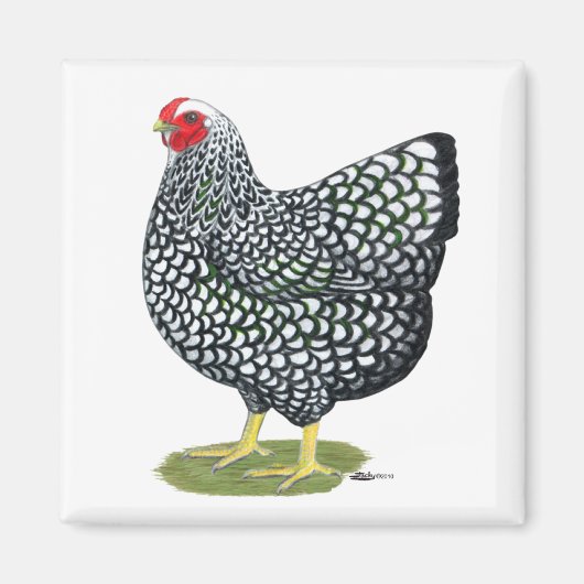 Wyandotte: Silberlackierte Hen Magnet (Vorne)
