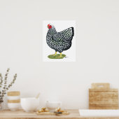 Wyandotte: Silberlackierte Hen Poster (Küche)