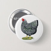 Wyandotte:  Silberlackierter Hen Button (Vorne & Hinten)