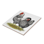 Wyandotte:  Silberne Paare Fliese (Seite)