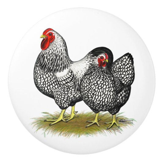 Wyandotte:  Silberne Paare Keramikknauf (Vorderseite)