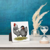 Wyandotte: Silberpaarung Fotoplatte (InSitu)