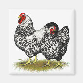 Wyandotte: Silberpaarung Magnet (Vorne)