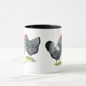 Wyandottes schnürte sich Paare Tasse (Zentrum)