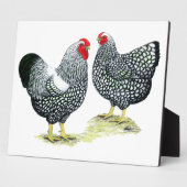 Wyandottes Silver-laced Pair Fotoplatte (Seite)