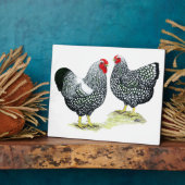 Wyandottes Silver-laced Pair Fotoplatte (Seite)