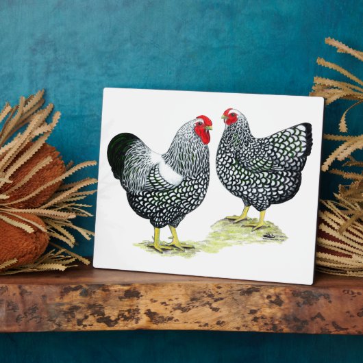 Wyandottes Silver-laced Pair Fotoplatte (Seite)