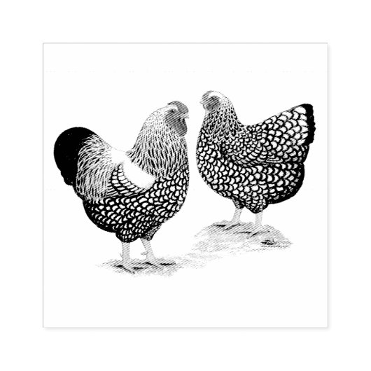 Wyandottes Silver-laced Pair Gummistempel (Prägung)
