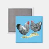 Wyandottes Silver-laced Pair Magnet (Vorderseite/Rückseite)