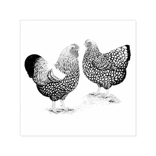 Wyandottes Silver-laced Pair Permastempel (Design)