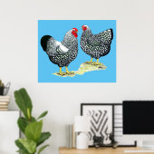 Wyandottes Silver-laced Pair Poster (Heimbüro)