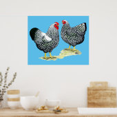 Wyandottes Silver-laced Pair Poster (Küche)