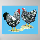 Wyandottes Silver-laced Pair Poster (Vorne)