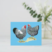 Wyandottes Silver-laced Pair Postkarte (Stehend Vorderseite)