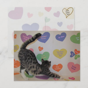 Wyatt, das Gespräch der Katze Postkarte