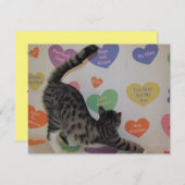 Wyatt's Valentine - Katze / Kitten - Flachkarte Feiertagskarte (Vorne/Hinten)
