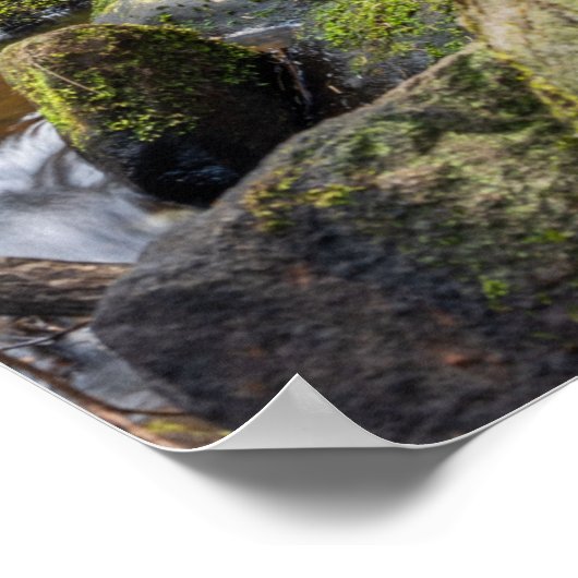 Wyming Brooke, Sheffield Poster (Ecke)