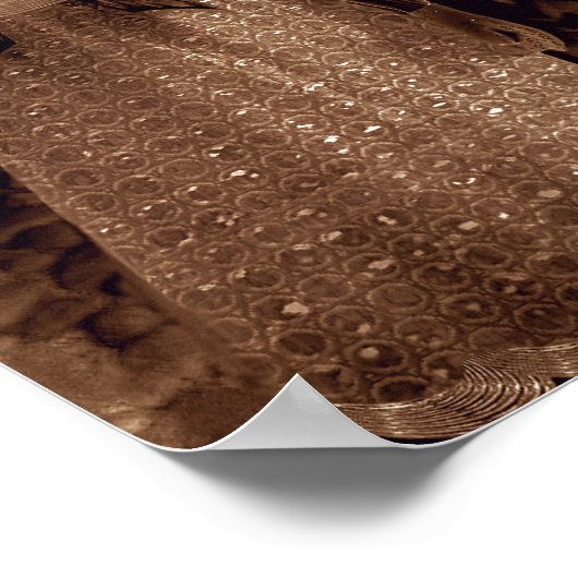 Wynter Print Poster (Ecke)