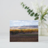 Wyoming Autumn Postkarte (Stehend Vorderseite)
