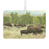 Wyoming Bison Nature Animal Fotografy Autolufterfrischer (Rückseite)
