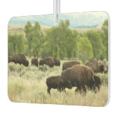 Wyoming Bison Nature Animal Fotografy Autolufterfrischer (Links)