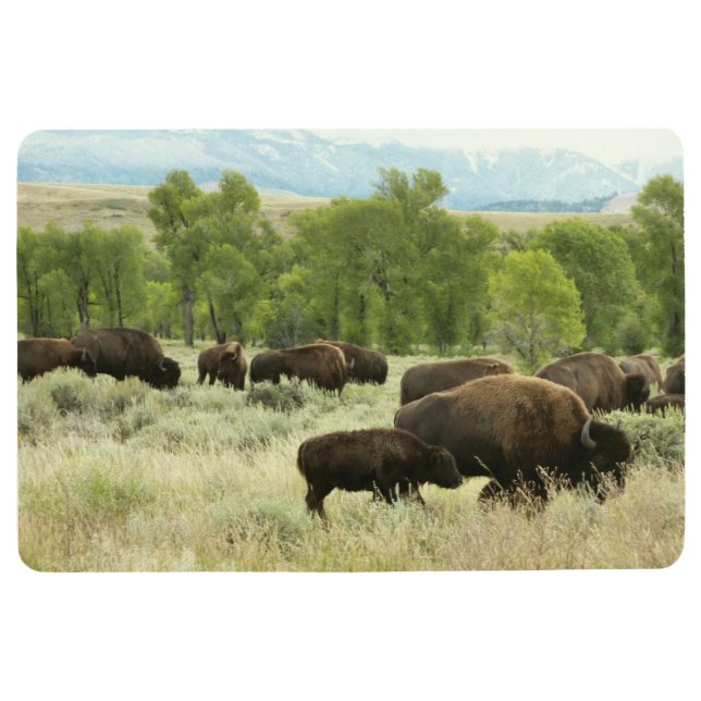 Wyoming Bison Nature Animal Fotografy Bodenmatte (Vorderseite)