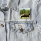 Wyoming Bison Nature Animal Fotografy Button (Beispiel)