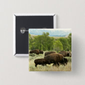 Wyoming Bison Nature Animal Fotografy Button (Vorne & Hinten)