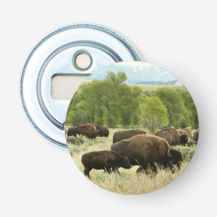 Wyoming Bison Nature Animal Fotografy Flaschenöffner