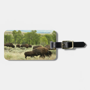 Wyoming Bison Nature Animal Fotografy Gepäckanhänger