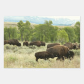 Wyoming Bison Nature Animal Fotografy Geschenkpapier Set (Vorderseite)