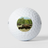 Wyoming Bison Nature Animal Fotografy Golfball (Vorderseite)