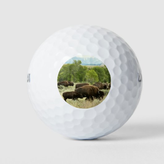 Wyoming Bison Nature Animal Fotografy Golfball (Vorderseite)
