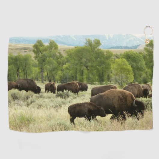 Wyoming Bison Nature Animal Fotografy Golfhandtuch (Horizontal)