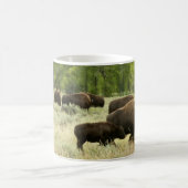 Wyoming Bison Nature Animal Fotografy Kaffeetasse (Mittel)