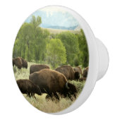 Wyoming Bison Nature Animal Fotografy Keramikknauf (Rechts)