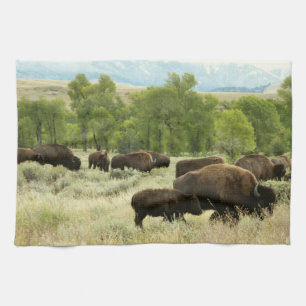 Wyoming Bison Nature Animal Fotografy Küchentuch