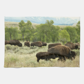 Wyoming Bison Nature Animal Fotografy Küchentuch
