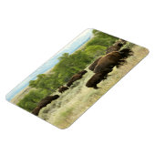 Wyoming Bison Nature Animal Fotografy Magnet (Linke Seite)