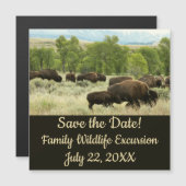 Wyoming Bison Nature Animal Fotografy Magnetkarte (Vorne/Hinten)