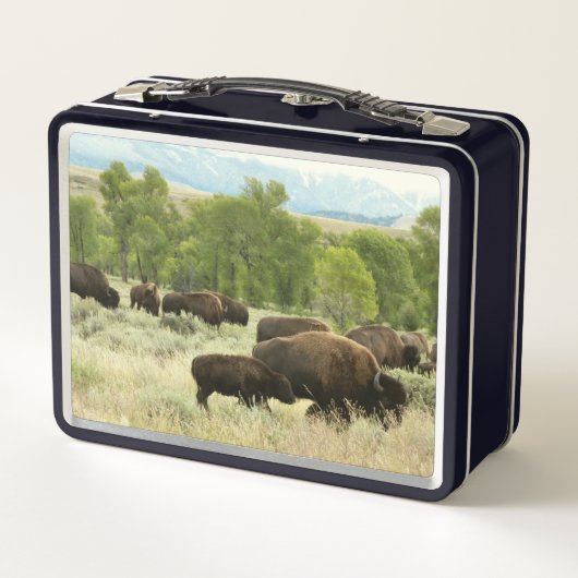 Wyoming Bison Nature Animal Fotografy Metall Brotdose (Rückseite)