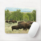 Wyoming Bison Nature Animal Fotografy Mousepad (Mit Mouse)