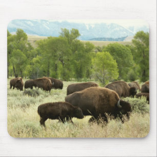 Wyoming Bison Nature Animal Fotografy Mousepad