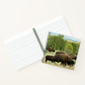 Wyoming Bison Nature Animal Fotografy Notizblock (Innenseite)