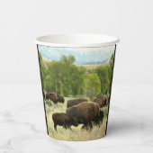 Wyoming Bison Nature Animal Fotografy Pappbecher (Rückseite)