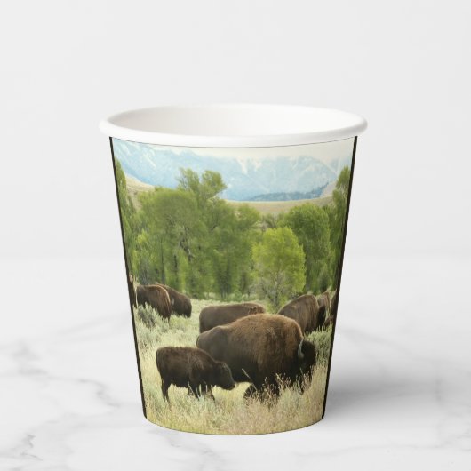 Wyoming Bison Nature Animal Fotografy Pappbecher (Vorderseite)