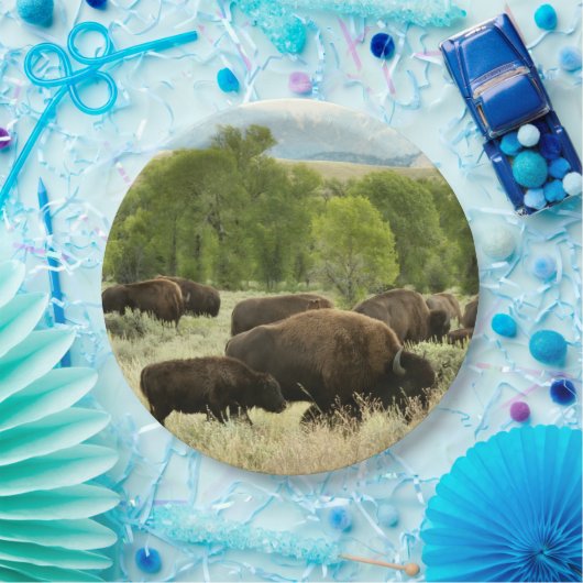 Wyoming Bison Nature Animal Fotografy Pappteller (Party)