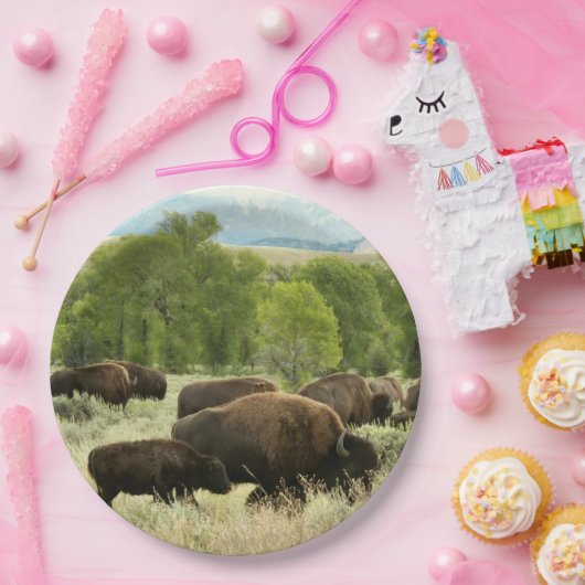 Wyoming Bison Nature Animal Fotografy Pappteller (Party)