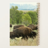 Wyoming Bison Nature Animal Fotografy Planer (Rückseite)