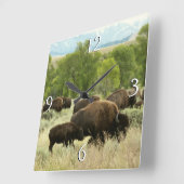 Wyoming Bison Nature Animal Fotografy Quadratische Wanduhr (Winkel)